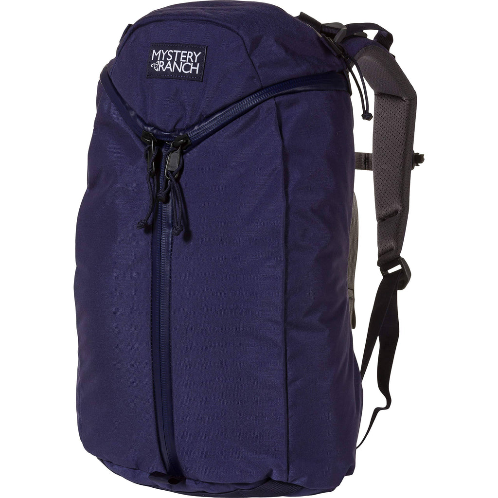 Urban Assault 21 Grape Backpack L81401