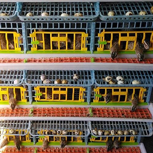 5 Layer ABS Plastic Quail Cage Z642
