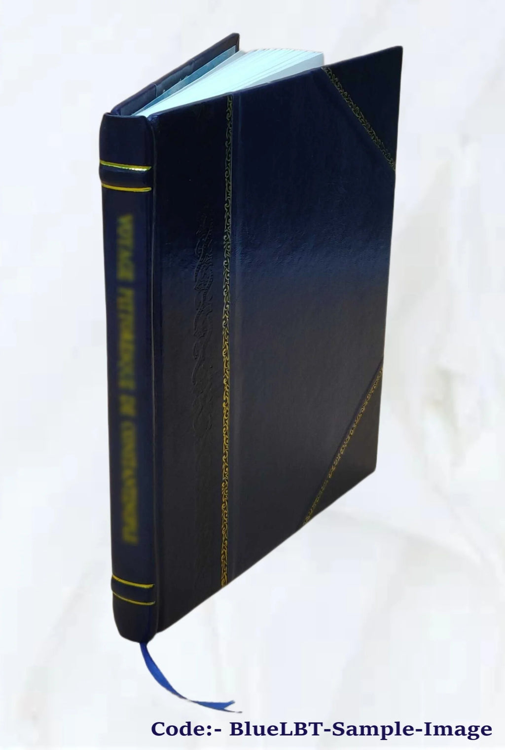 Report on trade conditions in British East Africa, Uganda and Zanzibar 1919 R746