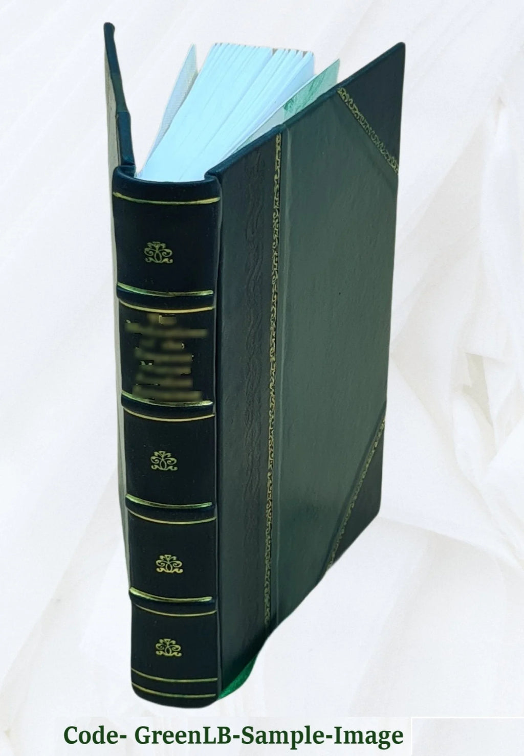 History of Mary Stuart, Queen of Scots, Volume v.1 K308603