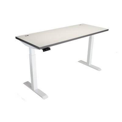 Gray Electric Height Adjustable Standing Desk U73785