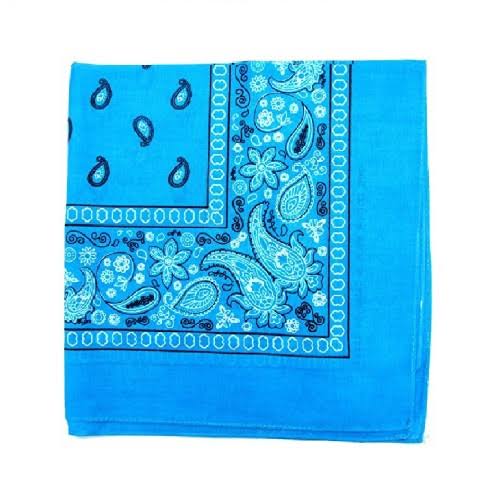 240 Paisley 100% Cotton Double Sided Bandanas V25757