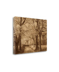 Smokies Road Fine Art Giclee Print B918927