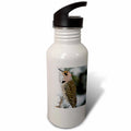 21 oz Sports Water Bottle K616215