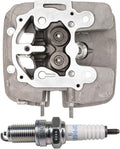 Cylinder Head Assembly with Spark Plug for Honda Rancher TRX350 2000-2006 Z905231