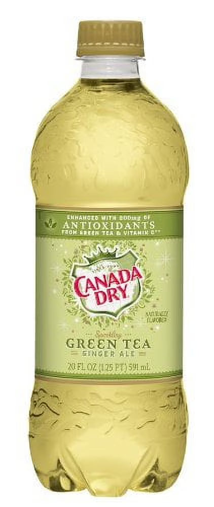 Green Tea Ginger Ale 20 Oz Pack of 24 Bottles S819
