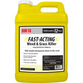 2.5-Gallon Weed u0026 Grass Killer Herbicide W830426