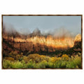 Black Forest Framed Canvas C647182
