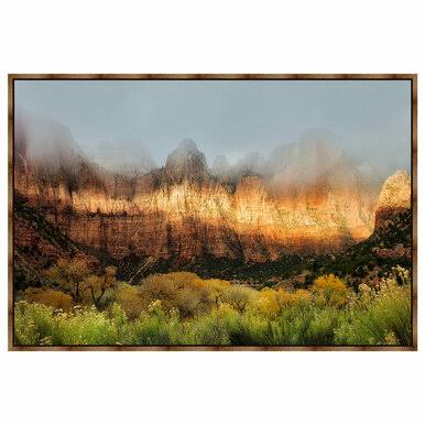 Black Forest Framed Canvas C647182