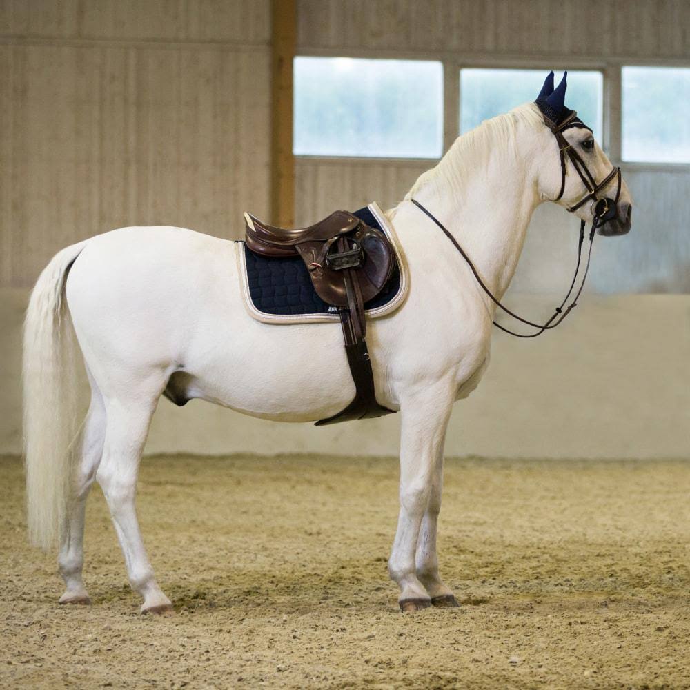 Dark Navy All Purpose Saddle Pad Y21534