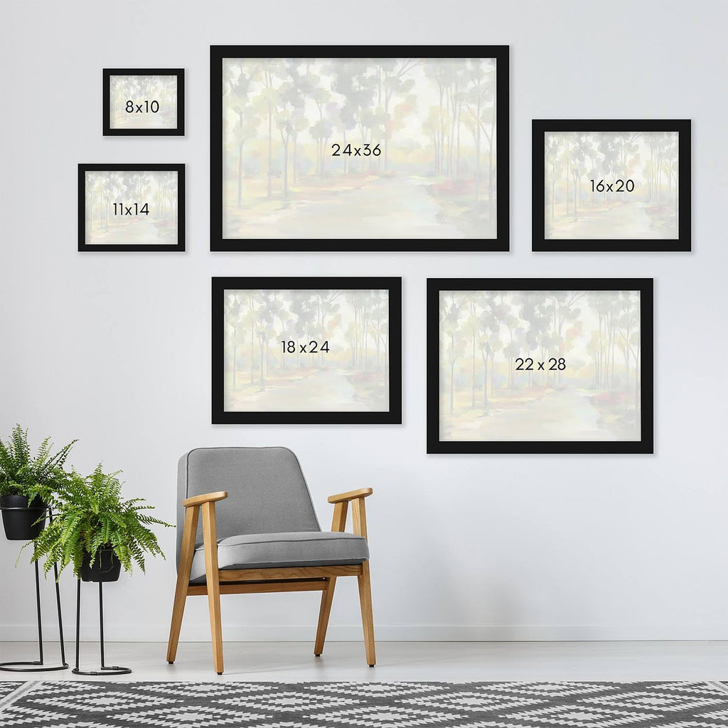 Black Framed Print 11x14 U35394