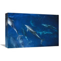 Bottlenose Dolphin Pod Art Print S455515