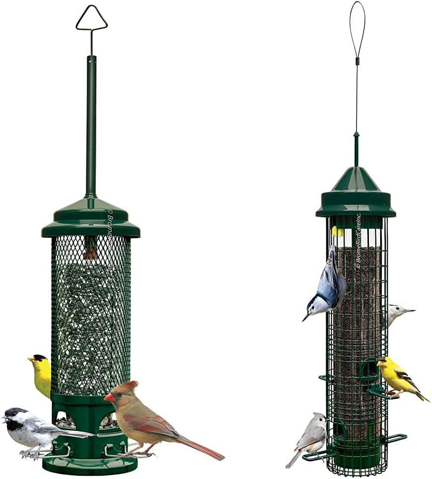 Squirrel-Proof Bird Feeder with 4 Metal Perches, 2.6-Pound Seed Capacity G25497