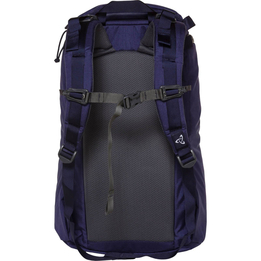Urban Assault 21 Grape Backpack L81401
