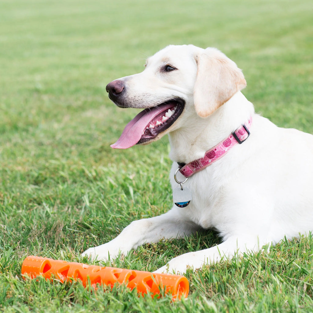 Orange Large Fetch Stick Dog Toy L22131