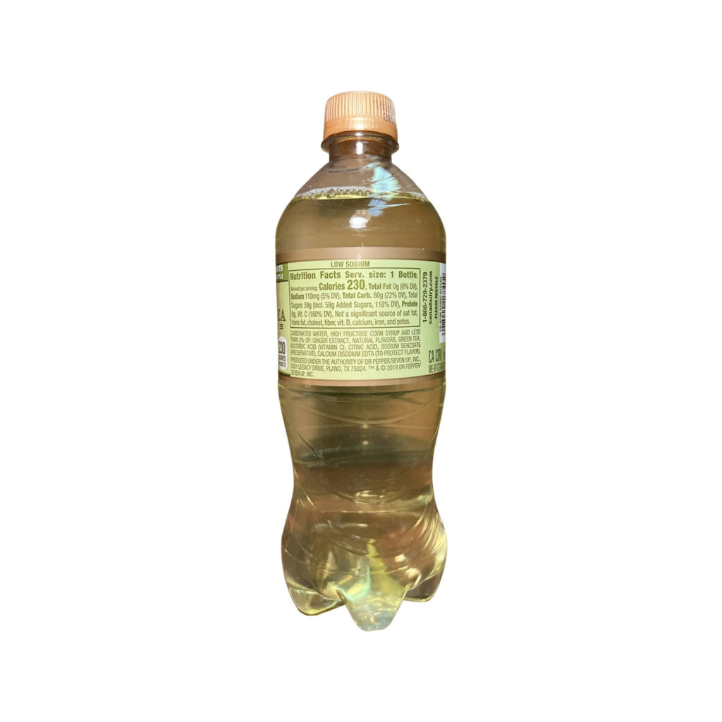 Green Tea Ginger Ale 20 Oz Pack of 24 Bottles S819