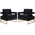 2 Piece Velvet Accent Chair Set in Black and Gold Q69904