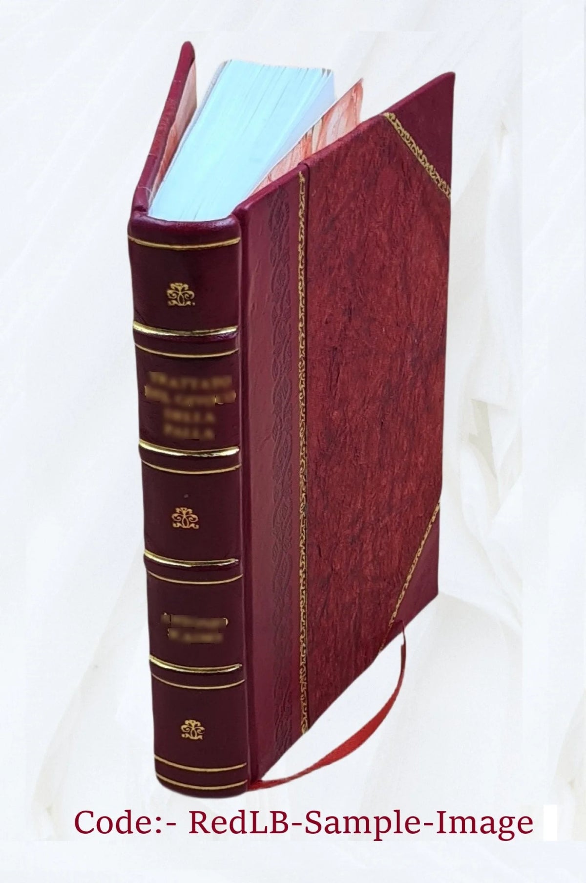 History of Mary Stuart, Queen of Scots, Volume v.1 K308603